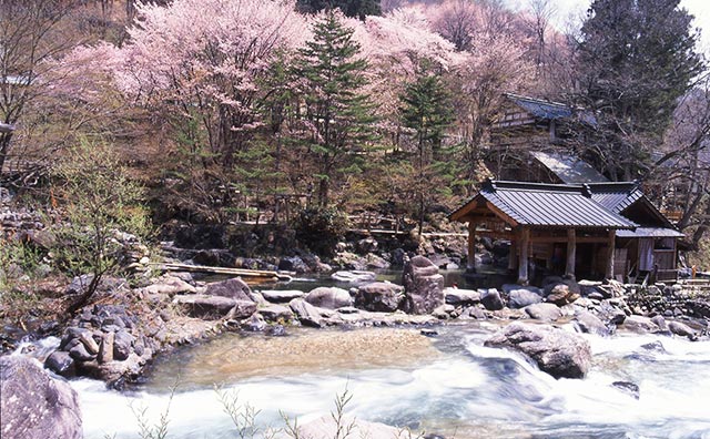 宝川温泉 汪泉閣　雪解けの宝川と桜が美しい露天