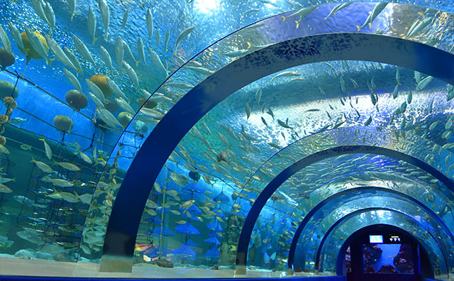 青森県営浅虫水族館