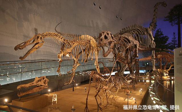 恐竜博物館