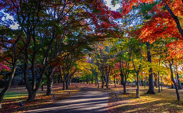 香雪園 紅葉