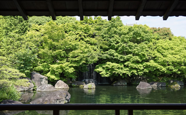 姫路城西御屋敷跡庭園好古園 2
