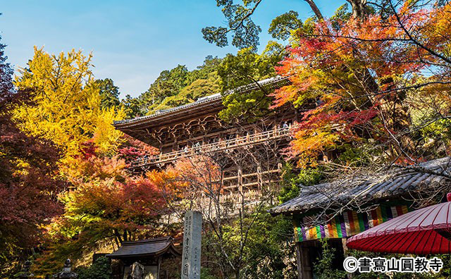 書写山圓教寺　紅葉