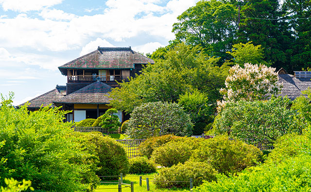 偕楽園　夏の新緑の風景
