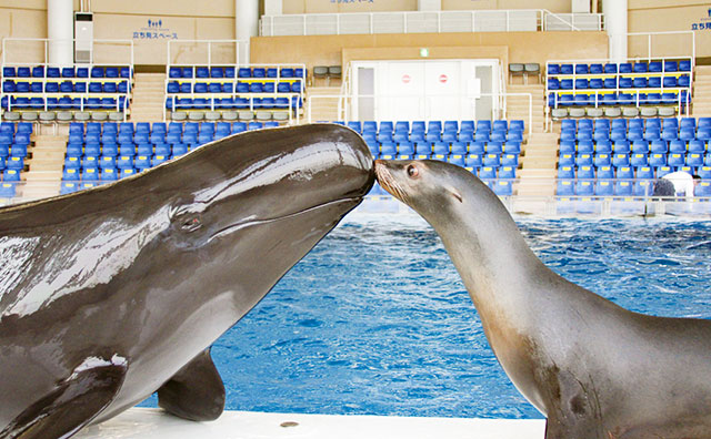 アクアワールド茨城県大洗水族館　水族館内
