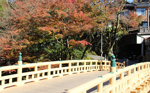 こおろぎ橋の紅葉