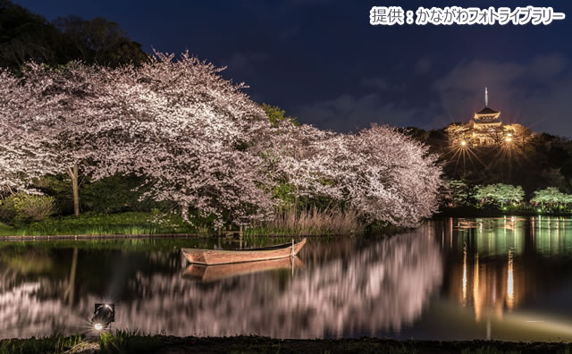 三溪園