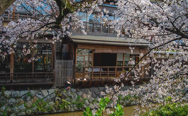 祇園白川
