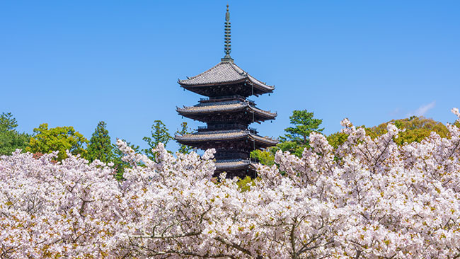 仁和寺