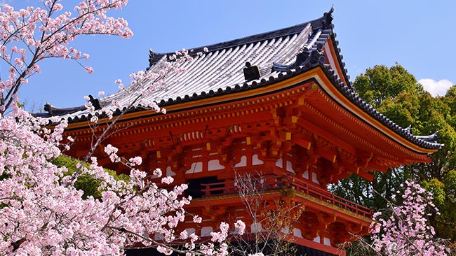 仁和寺