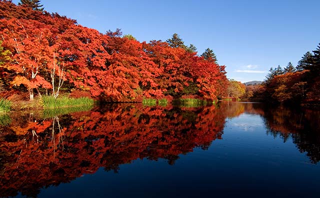 軽井沢雲場池　紅葉