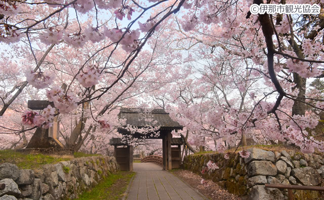 高遠城址公園