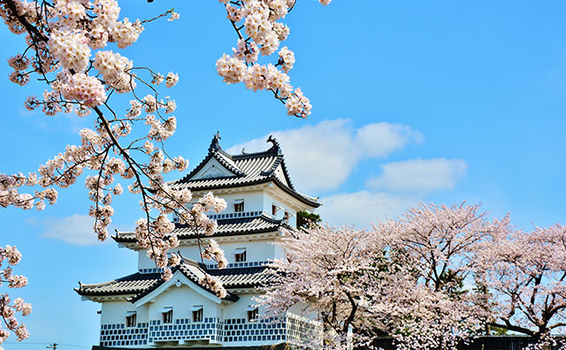 新発田城