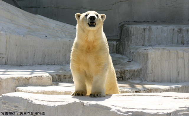 天王寺動物園