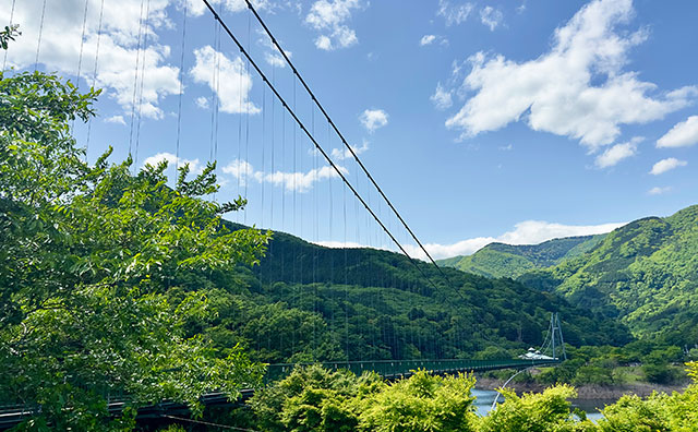 もみじ谷大吊橋　