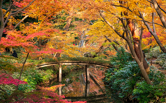 六義園（りくぎえん）のイメージ