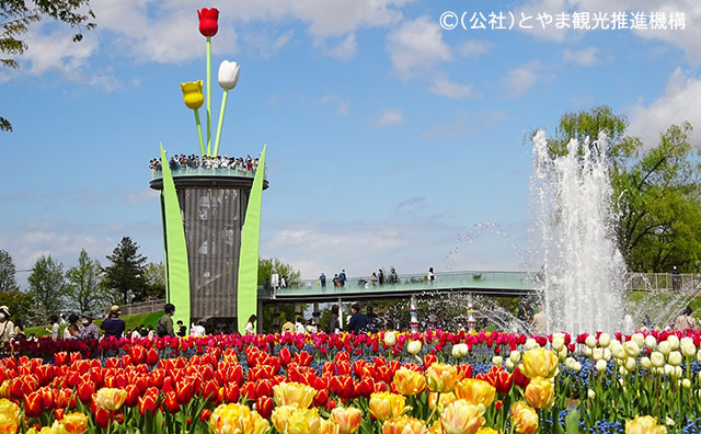 砺波チューリップ公園