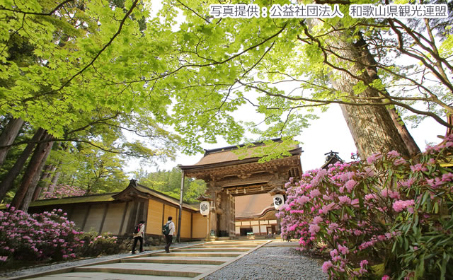 新緑の金剛峯寺（写真提供：公益社団法人　和歌山県観光連盟）