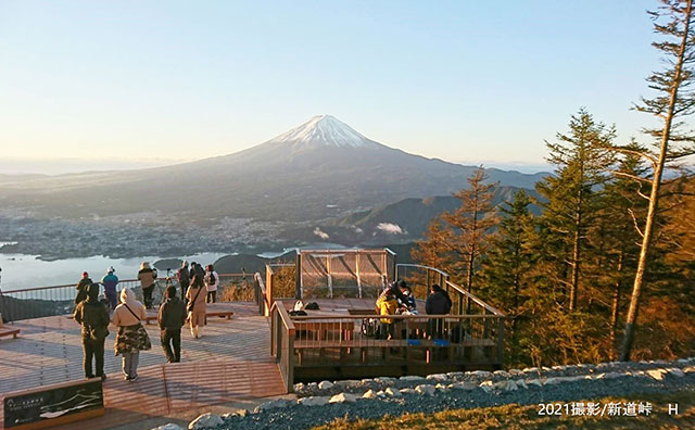 富士山ツインテラス　紅葉