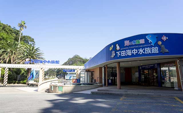 下田海中水族館