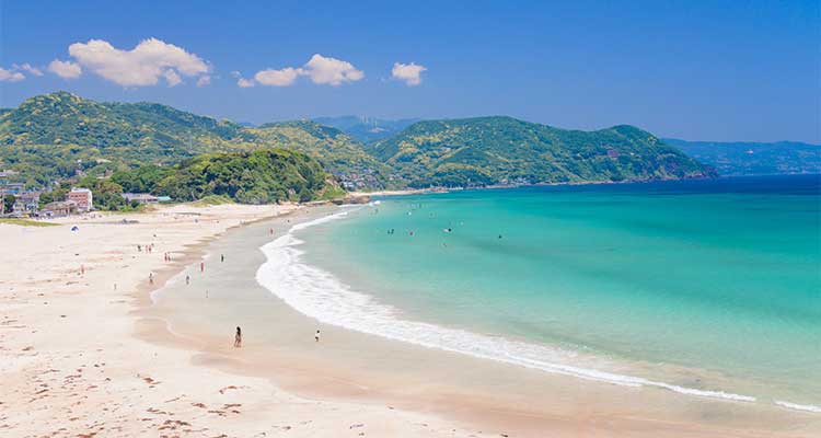 宿泊でも日帰りでも楽しめる！ 魅力あふれる伊豆旅行