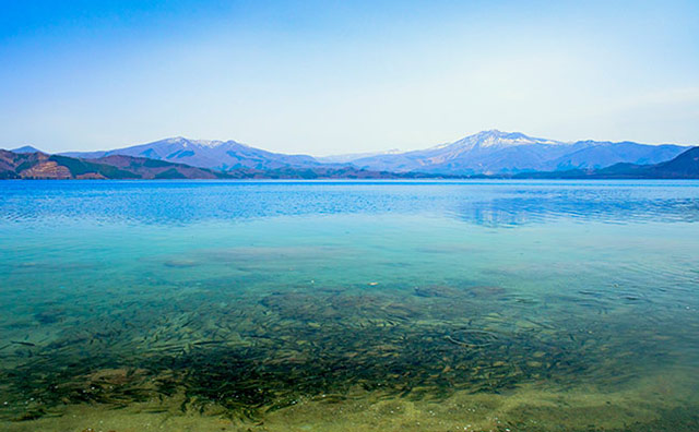 田沢湖