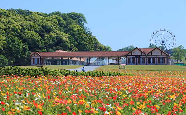 東京ドイツ村