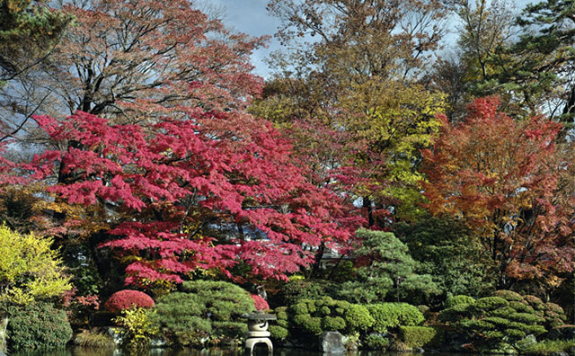 もみじ公園のイメージ
