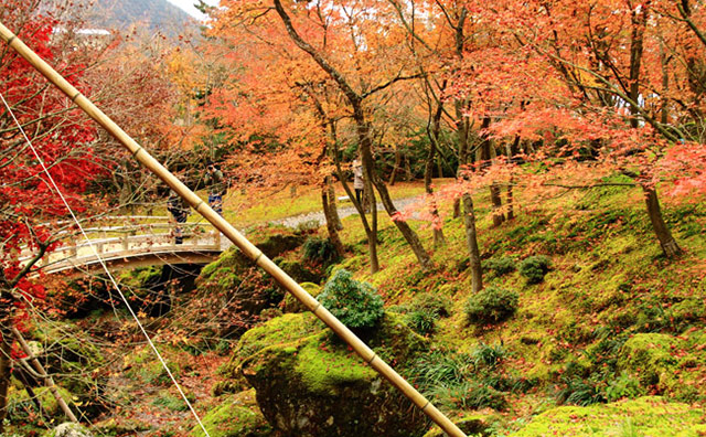 箱根美術館のイメージ