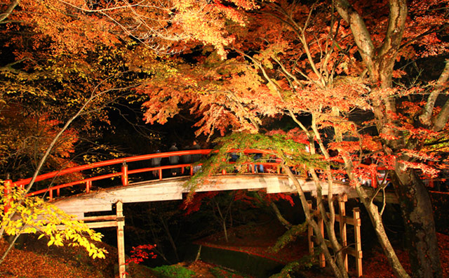 伊香保温泉　河鹿橋のイメージ