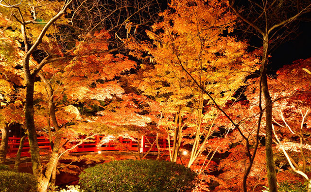 弥彦公園もみじ谷のイメージ