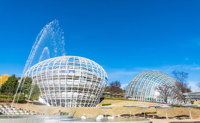 笛吹川フルーツ公園のイメージ