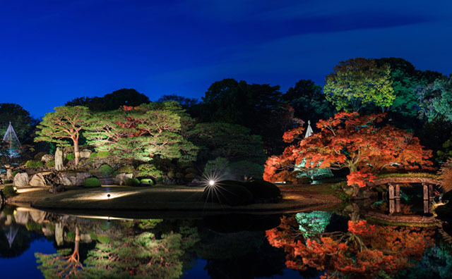 六義園のライトアップのイメージ