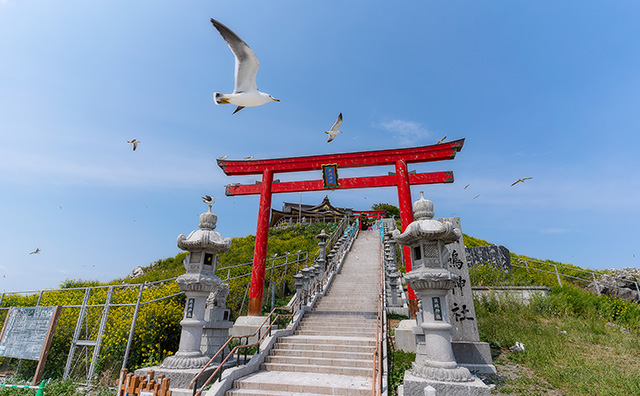 蕪嶋神社