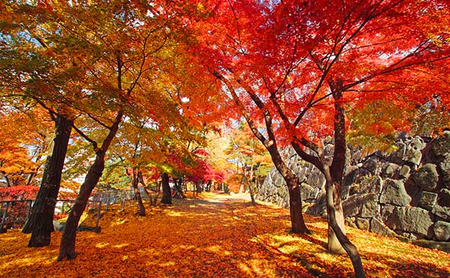 盛岡城跡公園