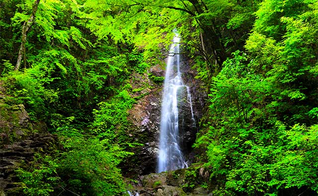 払沢の滝