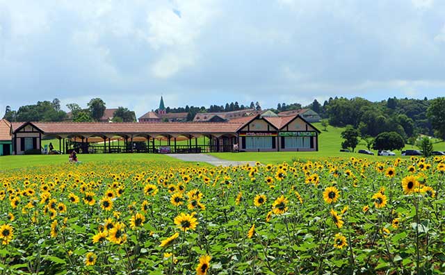 東京ドイツ村
