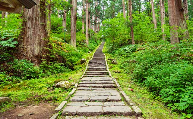 羽黒山