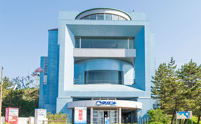 八戸市水産科学館マリエント