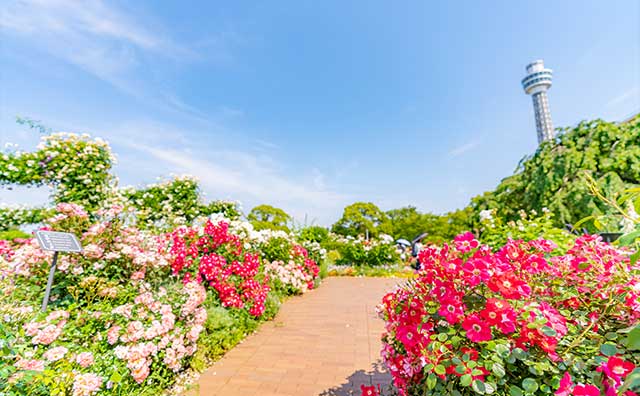 山下公園