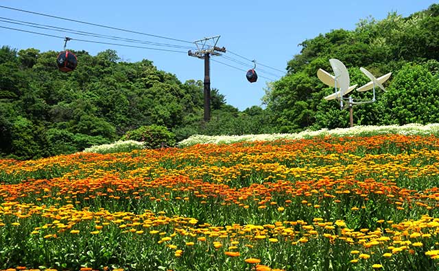 神戸布引ハーブ園