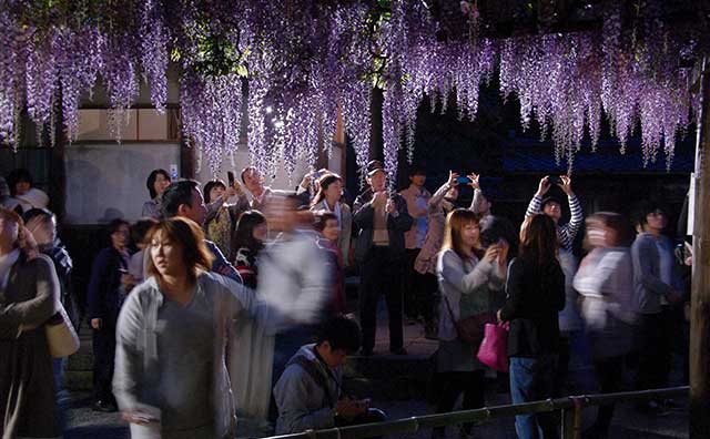 北方文化博物館