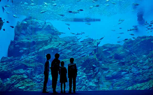 仙台うみの杜水族館