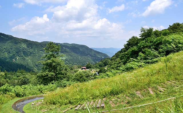 湯沢高原ジップラインアドベンチャー