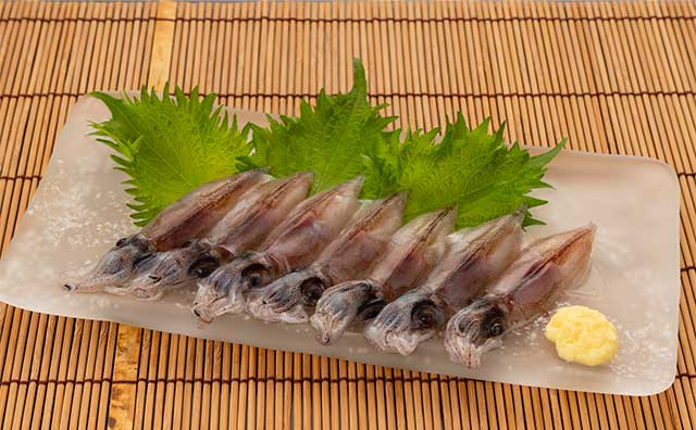 ホタルイカ