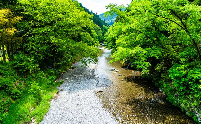 夏休みは関東で旅行を満喫しよう