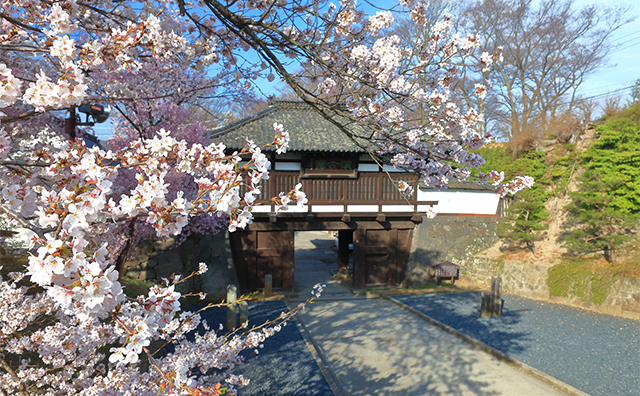 小諸城址