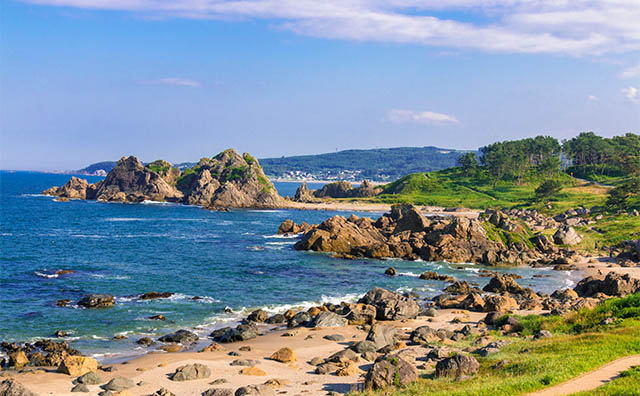 種差海岸