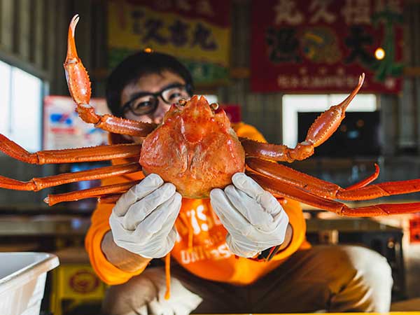 冬の富山で紅ズワイガニ＆寒ブリを満喫。勝興寺で七不思議探し