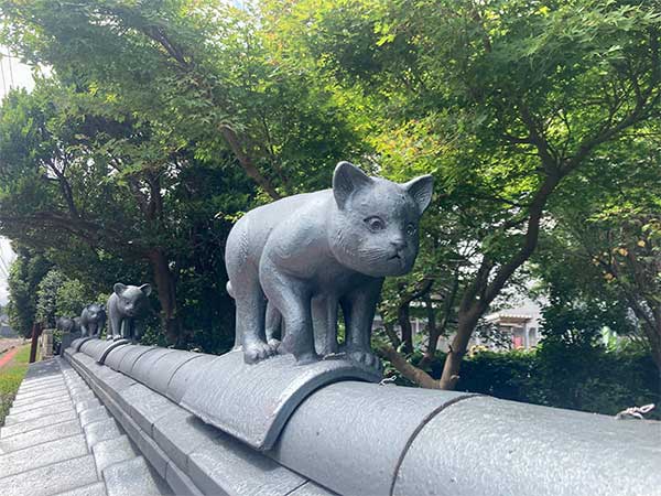 やすだ瓦ロードを散策。塀を歩く猫!?安田瓦の産地・新潟県へ
